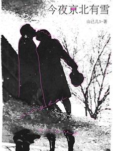 今夜京北有雪小说免费阅读